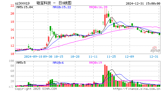 硅宝科技