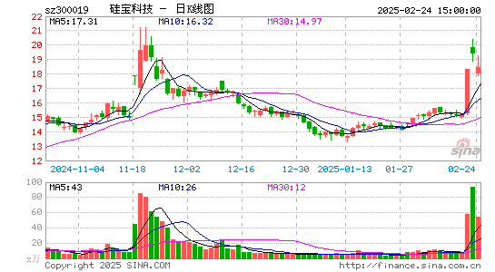 硅宝科技