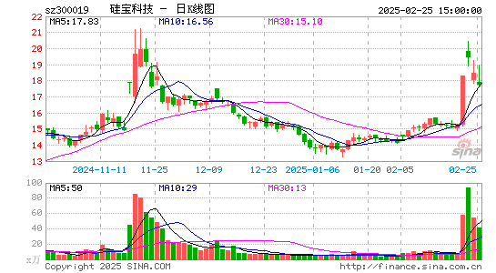 硅宝科技