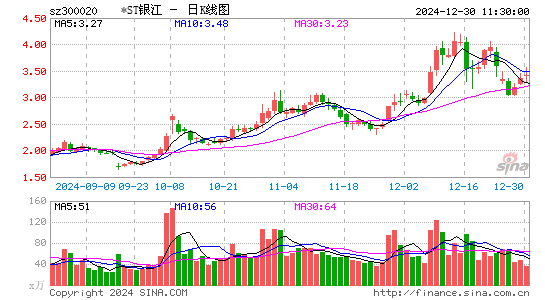 银江技术