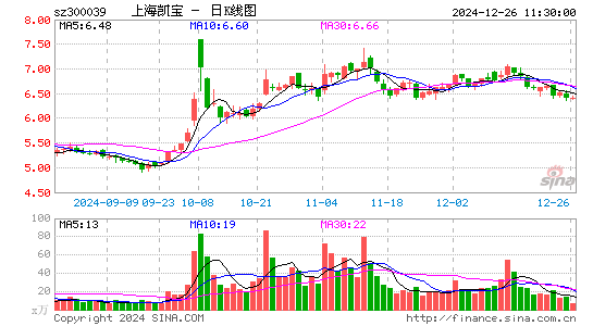 上海凯宝