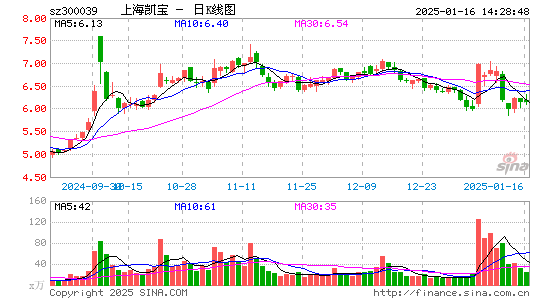 上海凯宝