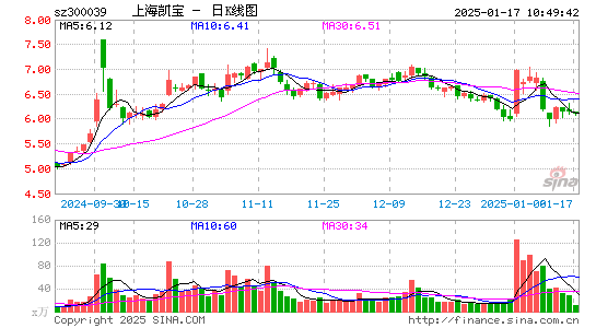 上海凯宝