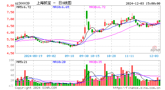 上海凯宝