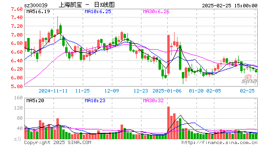 上海凯宝