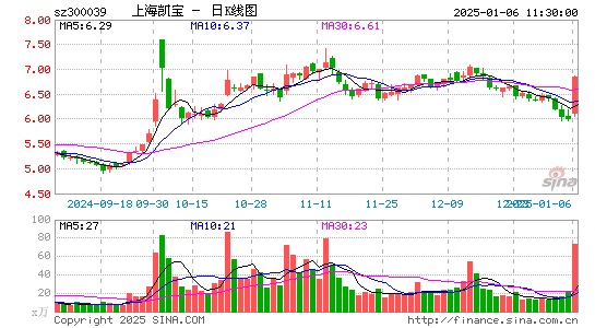 上海凯宝