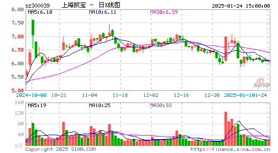 上海凯宝