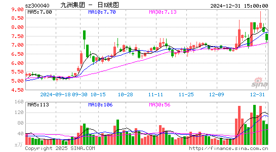 九洲集团