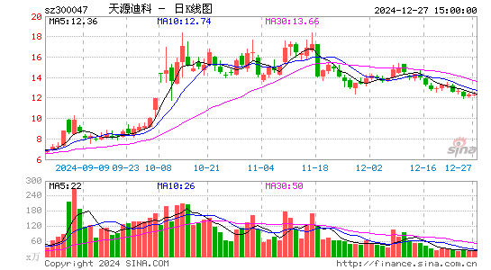 天源迪科