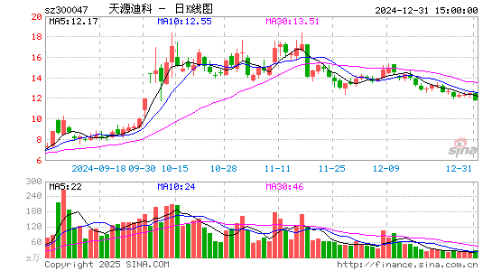 天源迪科