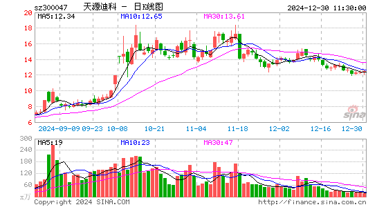 天源迪科