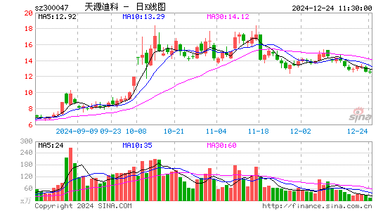 天源迪科