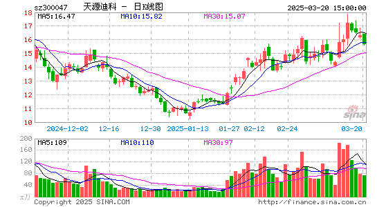 天源迪科