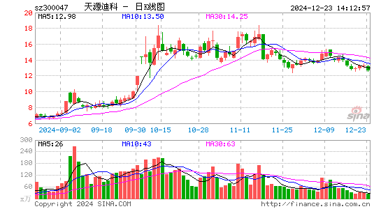 天源迪科