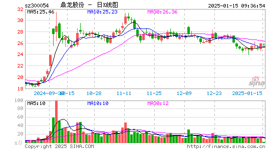 鼎龙股份