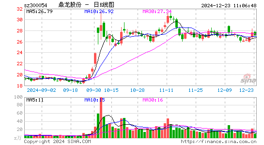 鼎龙股份