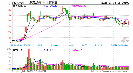 鼎龙股份