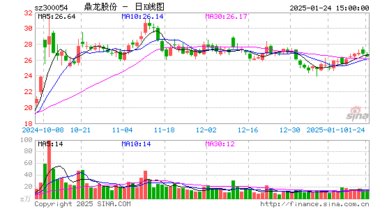 鼎龙股份