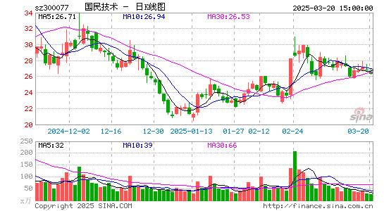 国民技术