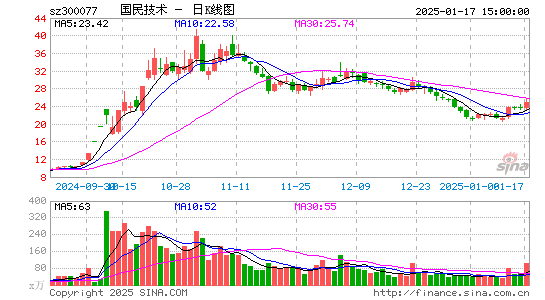 国民技术