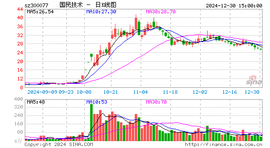 国民技术