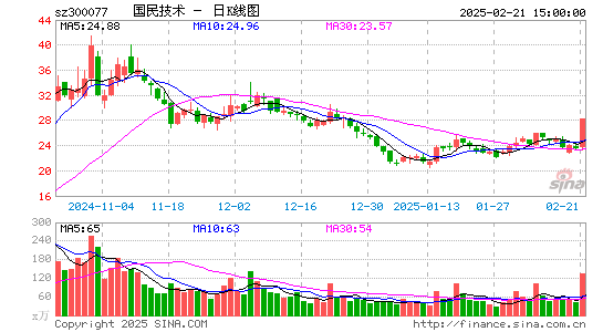 国民技术