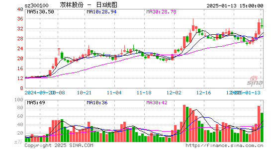 双林股份