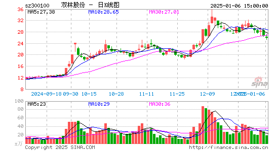 双林股份