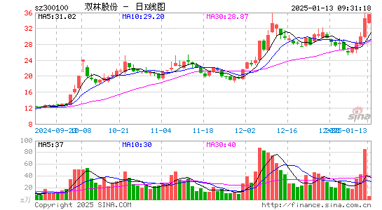 双林股份