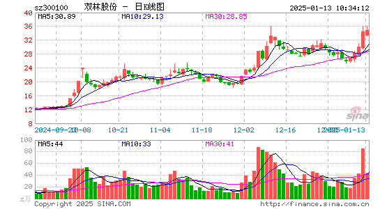 双林股份