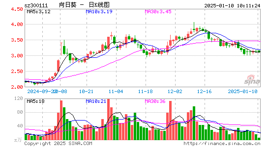 向日葵