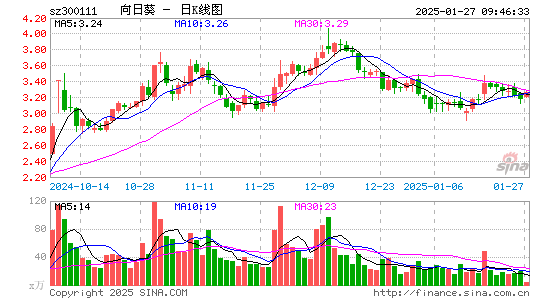 向日葵