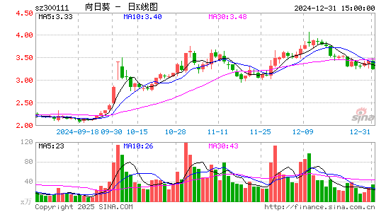 向日葵