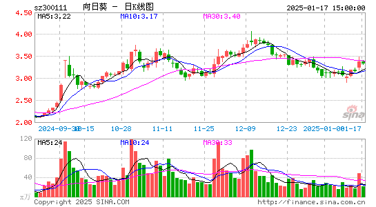 向日葵