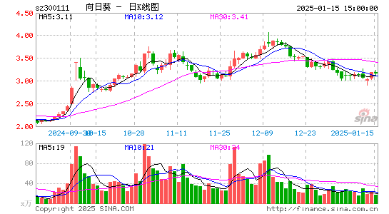 向日葵