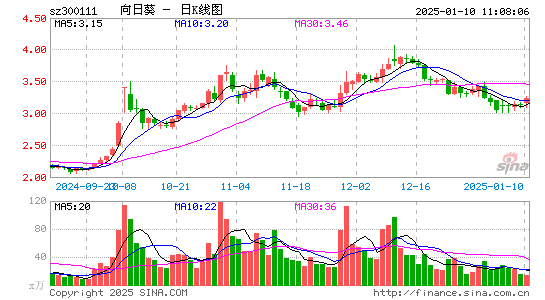 向日葵