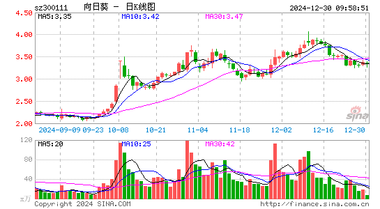 向日葵