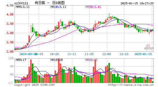 向日葵