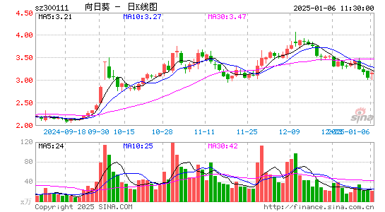 向日葵