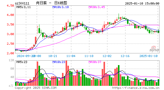 向日葵