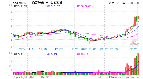 锐奇股份