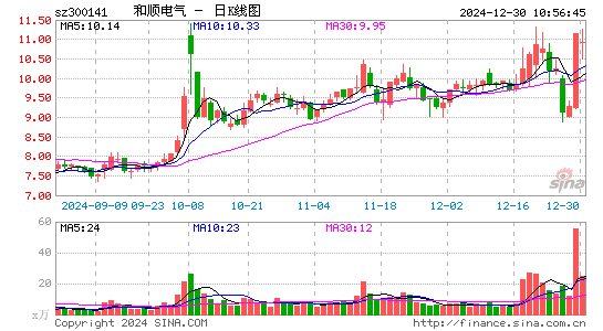 和顺电气