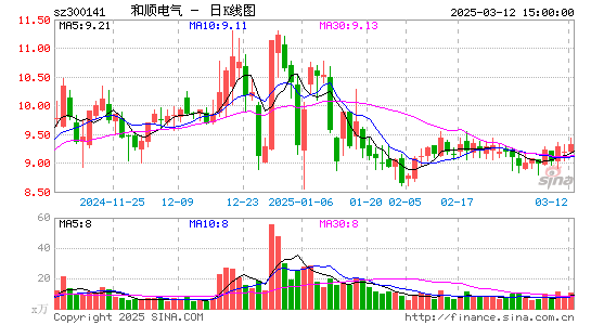 和顺电气