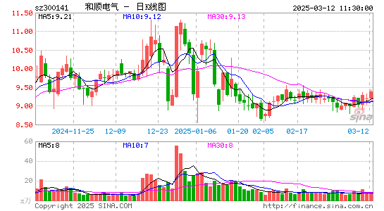 和顺电气