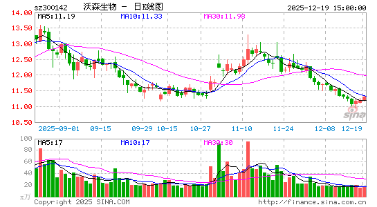 ��ɭ����