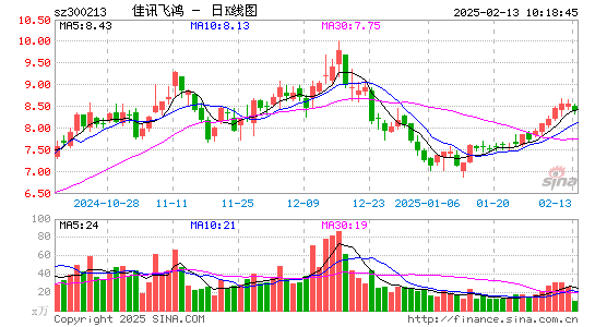 佳讯飞鸿