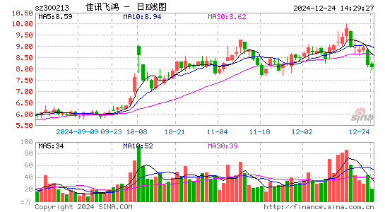 佳讯飞鸿