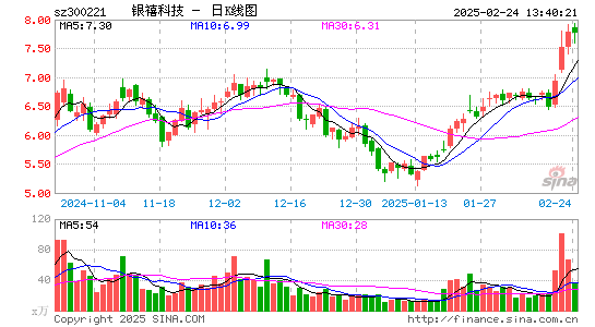 银禧科技