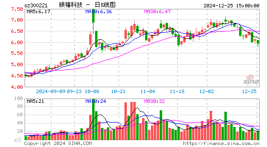 银禧科技