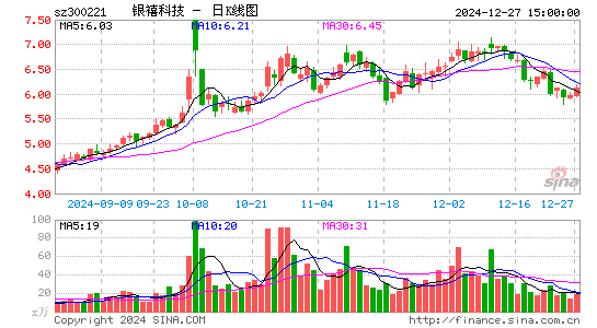 银禧科技